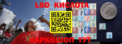 амф Новодвинск