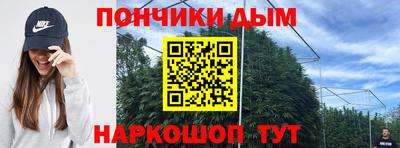 амф Новодвинск