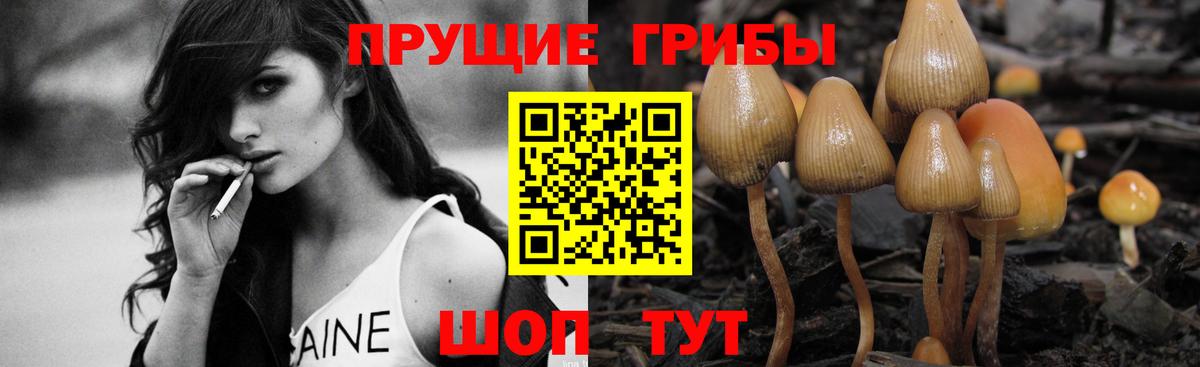 Чехов  Галлюциногенные грибы мухоморы  Вход с VPN  Псилоцибиновые грибы мухоморы 